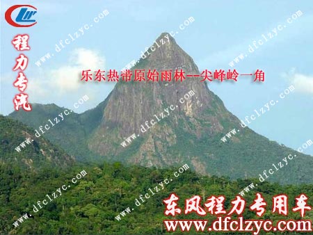 海南樂(lè)東原始雨林尖峰嶺一角